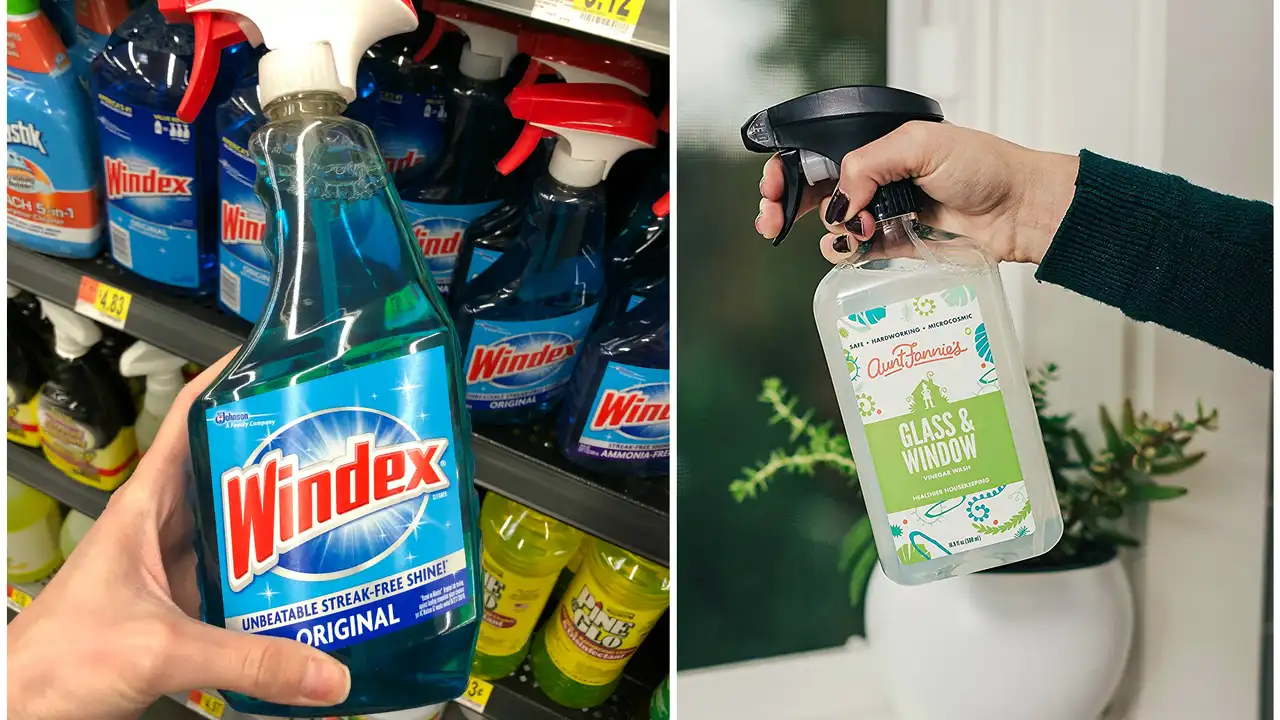 Two mint chocolate milkshakes with whipped cream and green sprinkles.