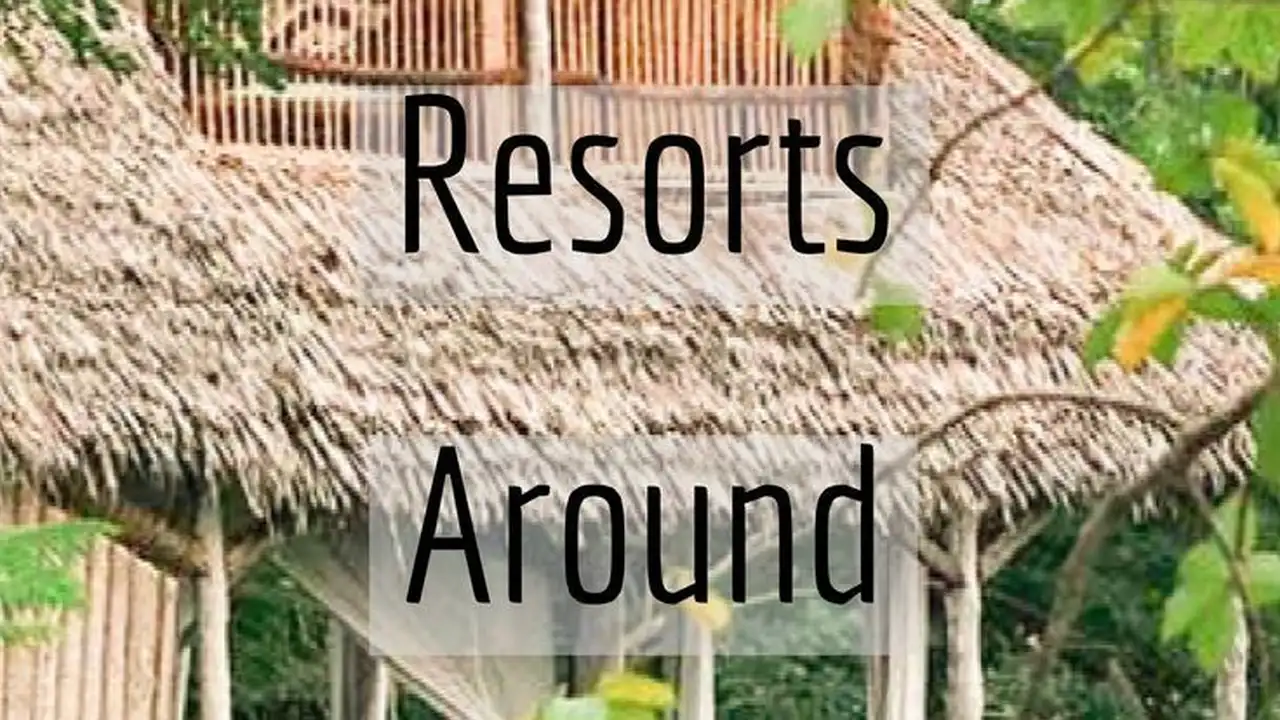 Close up on a plate of mashed potatoes, topped with baked pork chops with cream of mushroom soup, and a side of green beans.