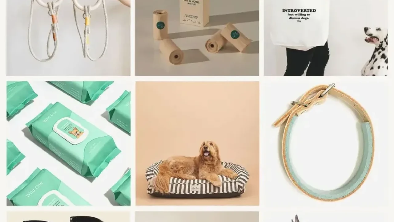 Chef John's Irish Soda Bread